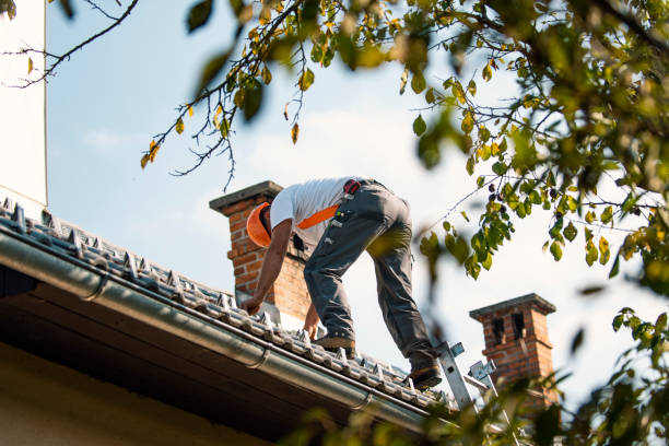 Best Chimney Flashing Repair  in Munfordville, KY