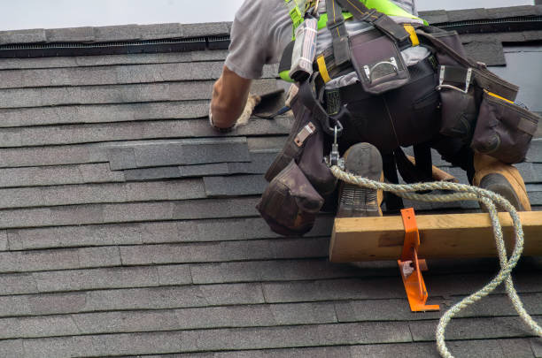 Roof Moss and Algae Removal in Munfordville, KY